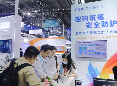 硬核守護(hù)信息安全 匯頂科技芯片級(jí)創(chuàng)新安全方案亮相高交會(huì)，護(hù)航金融信息技術(shù)外包
